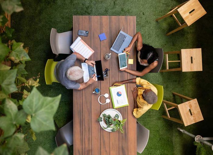 The Shed Coworking natural yard work